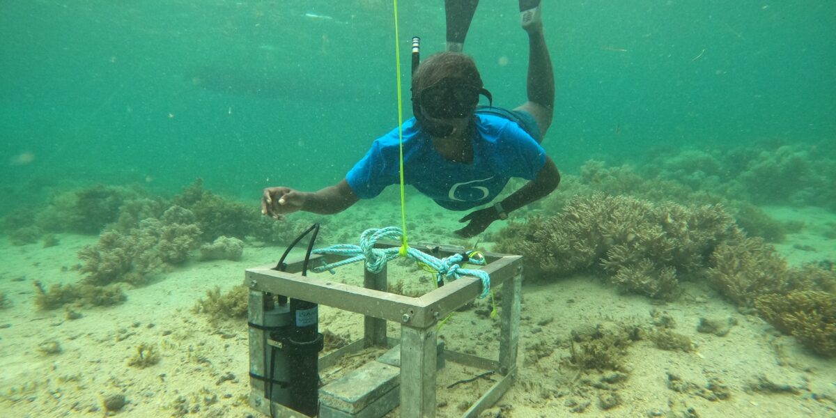Underwater with an iSAMI pH sensor (Sunburst Sensors)