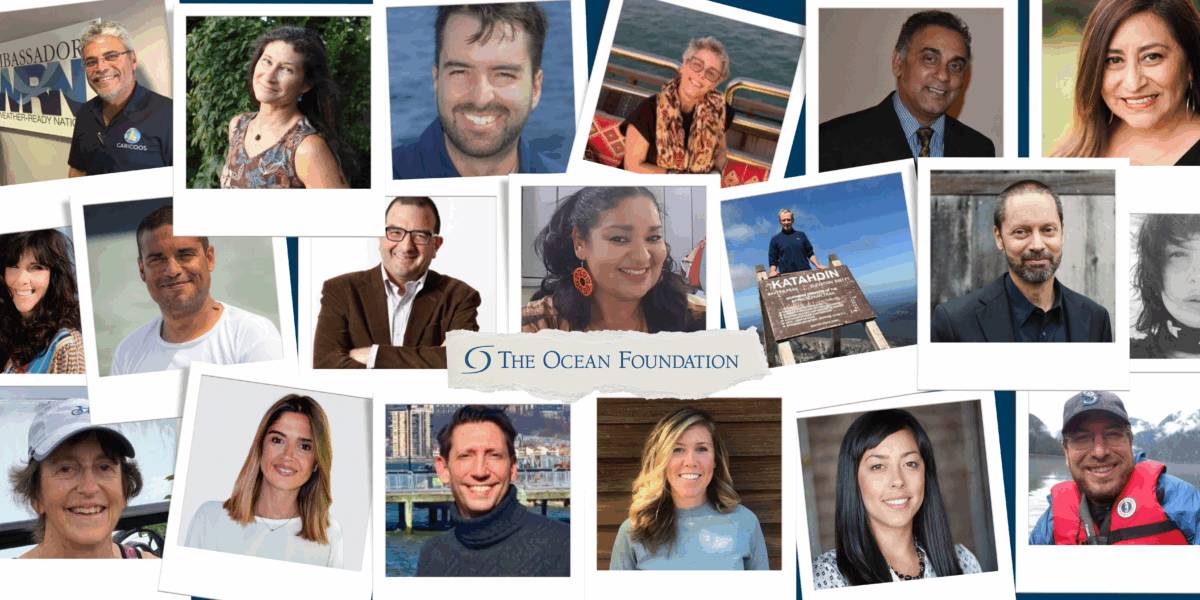 A collage of the Board of Advisors of The Ocean Foundation.