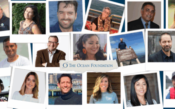 Uma colagem do Conselho Consultivo da The Ocean Foundation.