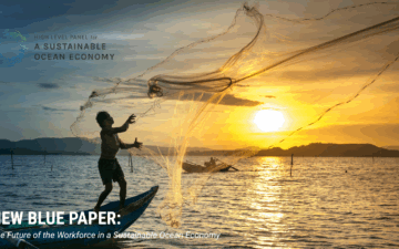 A man casts a fishing net in the air with a sun rising in the back.