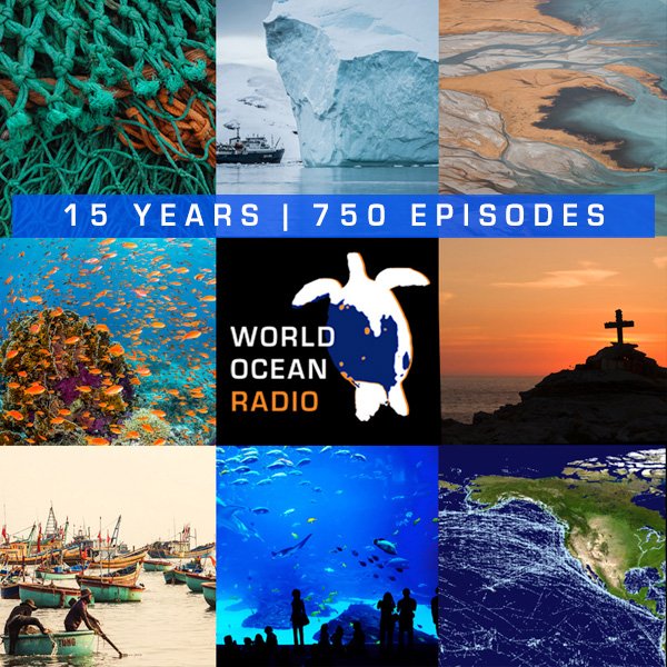 World Ocean Radio images of the ocean