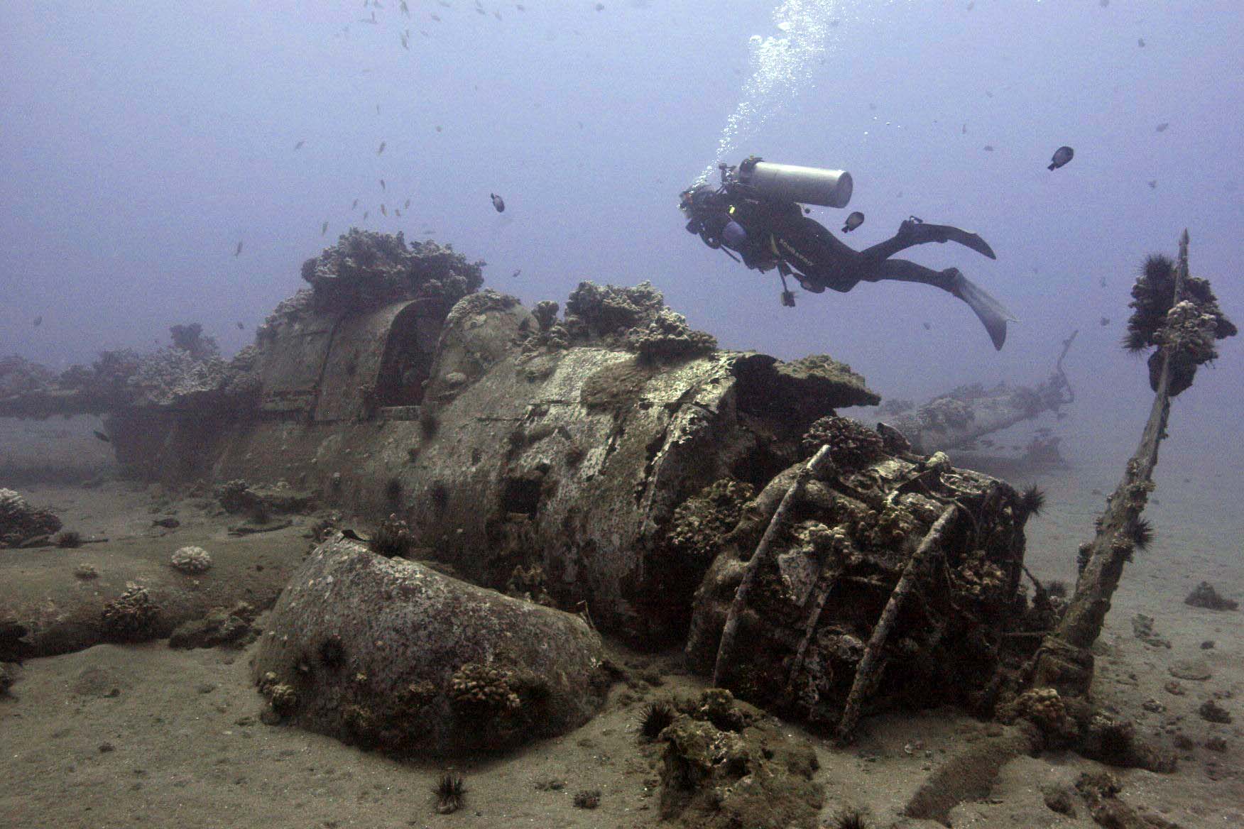 Hans Van Tilburg took photo of scuba diver looking at underwater wreckage of a plane.